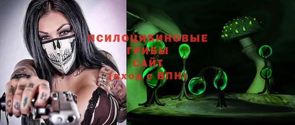 гашик Майский