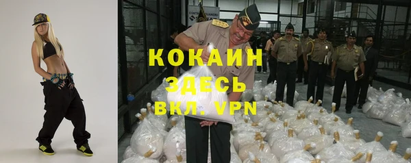 хмурый Лиски