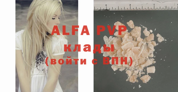 гашик Майский
