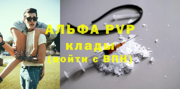 гашик Майский