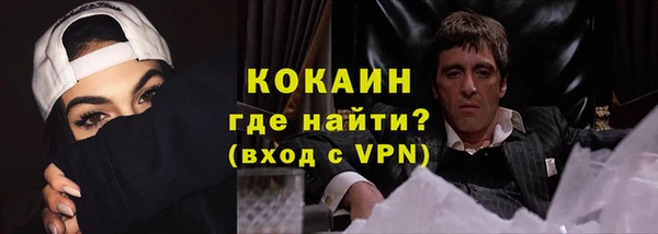 гашик Майский