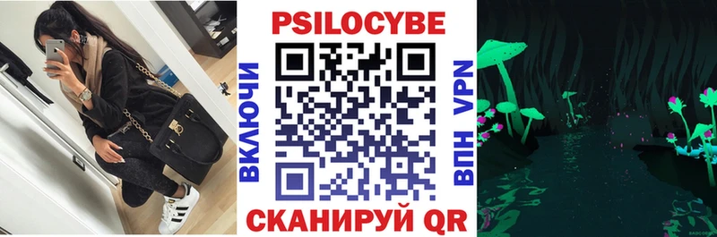 дарк нет состав  Суджа  Псилоцибиновые грибы Psilocybine cubensis  кракен  